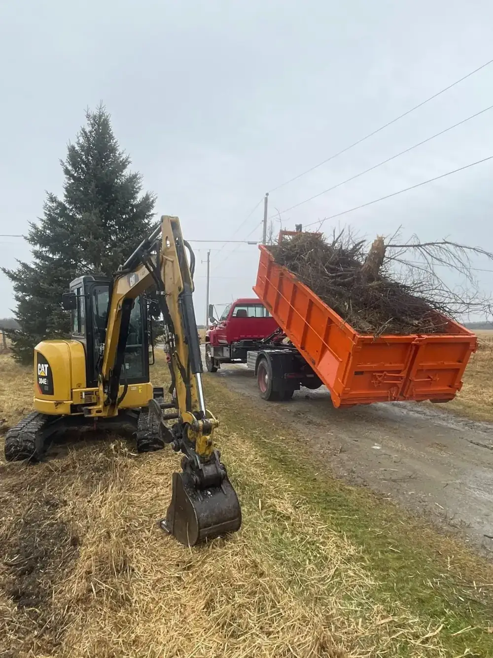 Bin loaded with brush and tree debris